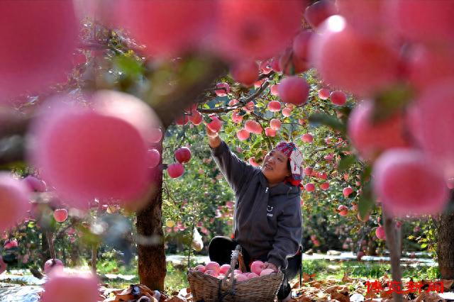 记者 刘炳友 通讯员 赵东山