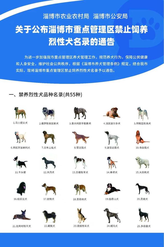 大型犬烈性犬名单图片