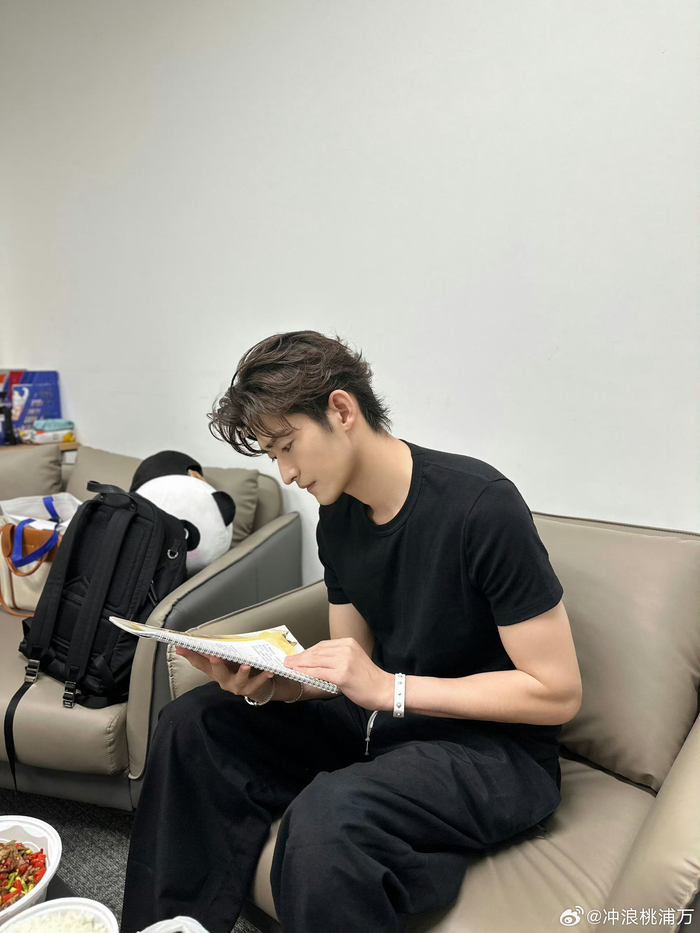 张翰(回春版):油过,但没丑过