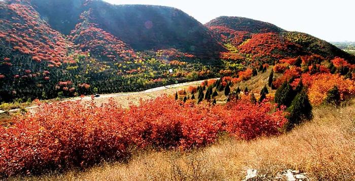 第八届北京顺义舞彩浅山旅游登山文化节21日启幕