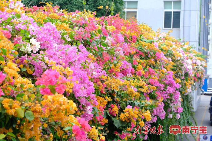 昆山花桥宽带有哪些 昆山千灯宽带和昆山什么宽带便宜又好