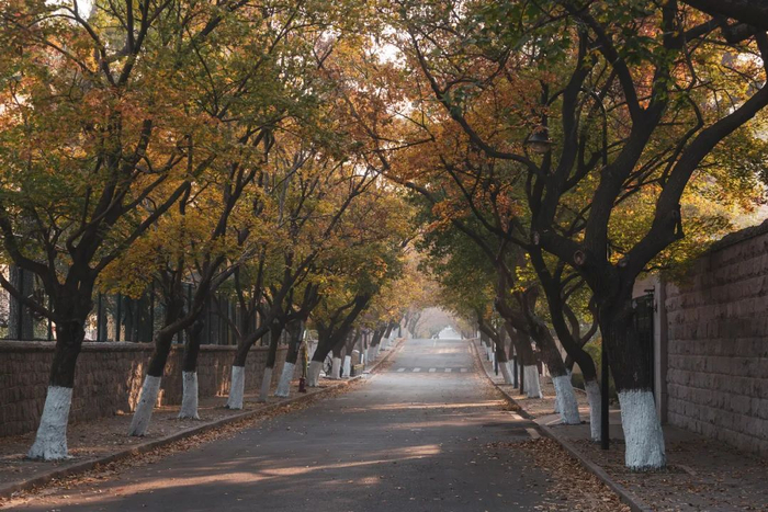 八大关景色，图文无关。