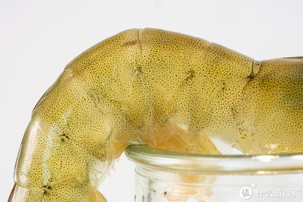 蹲到好价终于实现盐汪子虾自由巨鲜甜