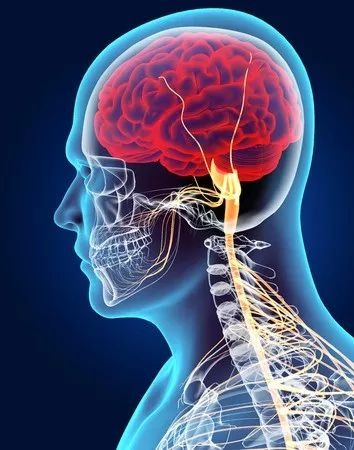 图片来源：123RF