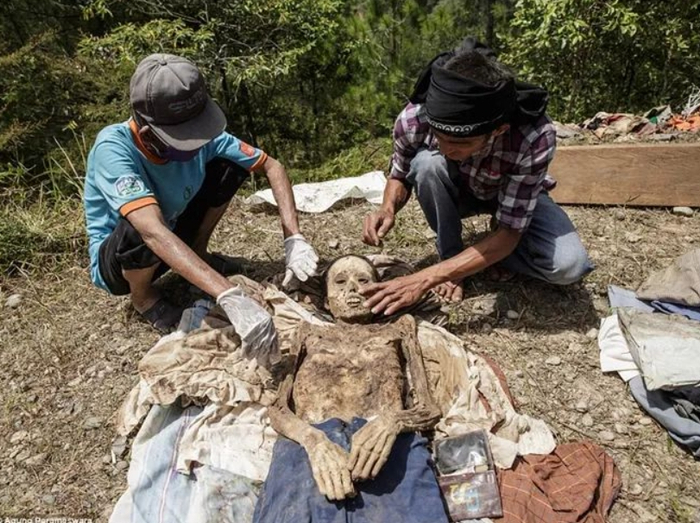 见过印尼赶尸节天师来了也镇不住