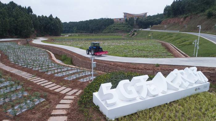 德阳桂花村图片