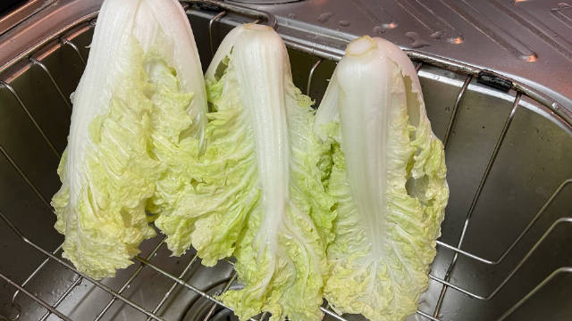 金丝白菜好吃的做法,还得佩服汕头人,简单纯粹