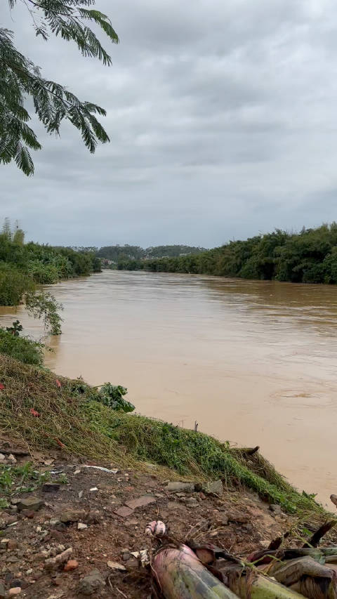大暴雨过后化州罗江犹如滚滚长江东逝水