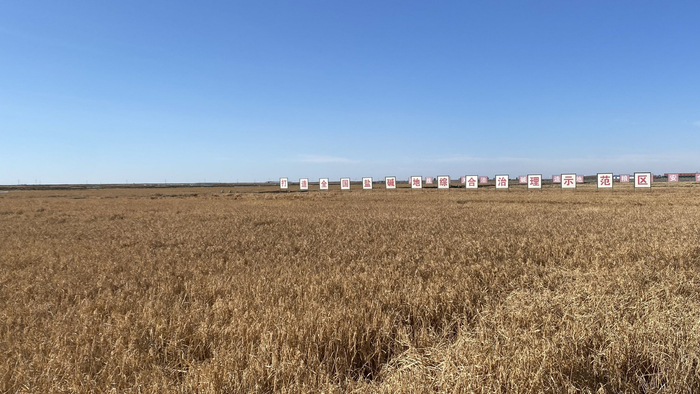 图为大安市龙海灌片项目相关区域