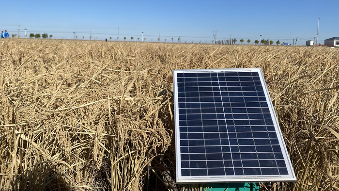 图为大安市龙海灌片项目水渠流量监测仪