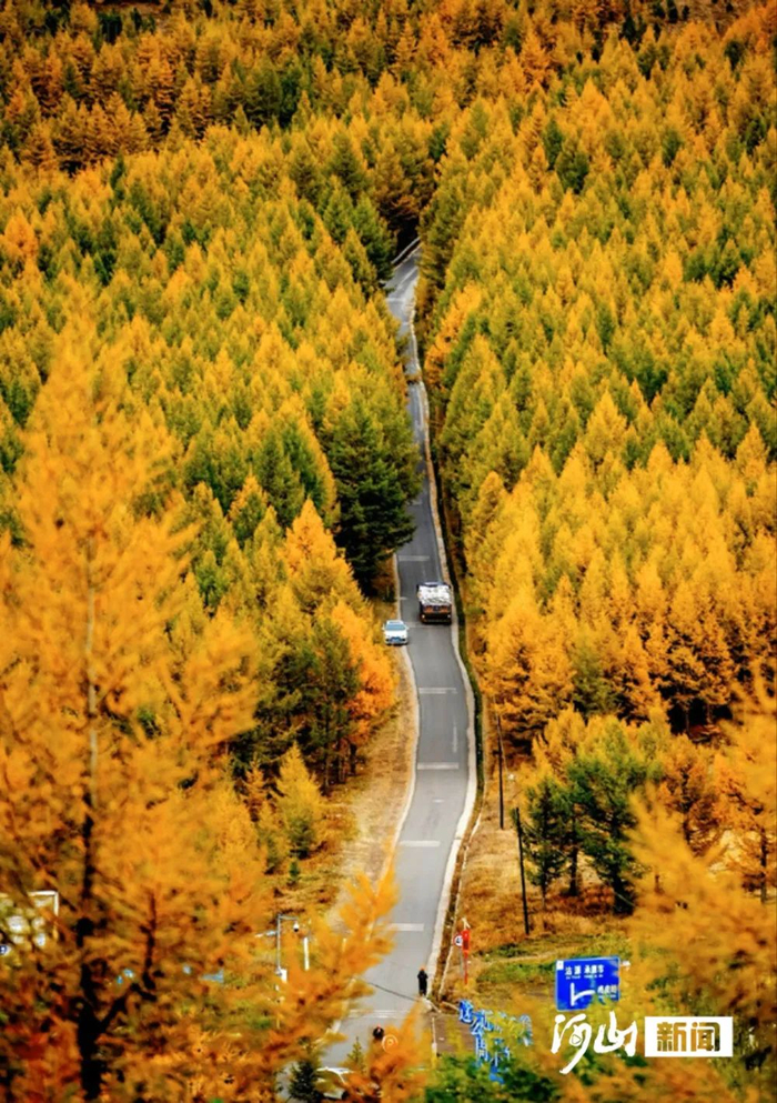 崇礼草原天路美如画