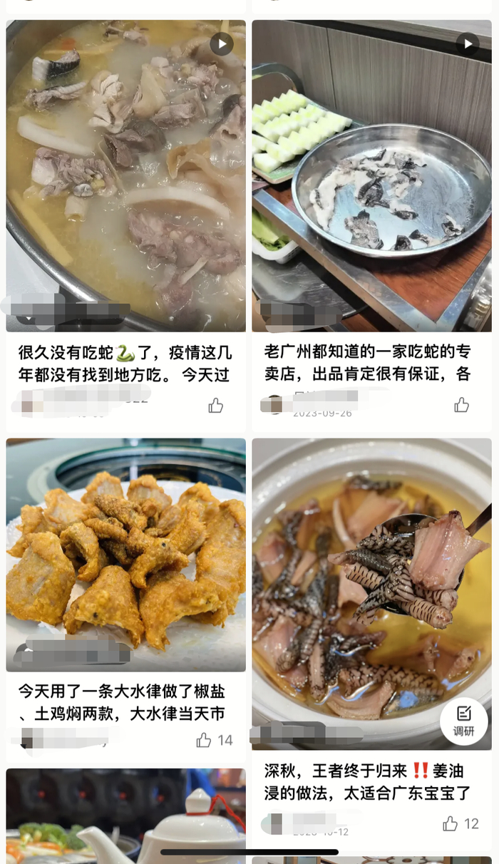  网上推荐烹饪蛇肉食肆的文案