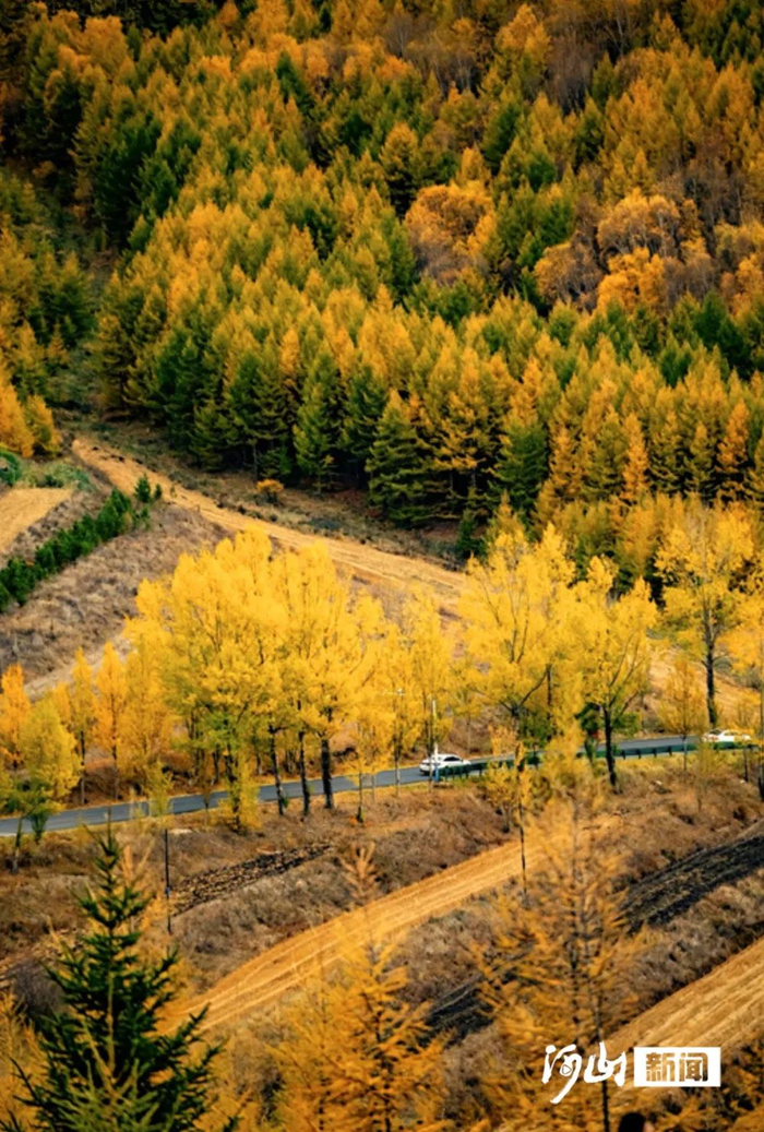 崇礼草原天路美如画