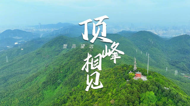 登高望远顶峰相见