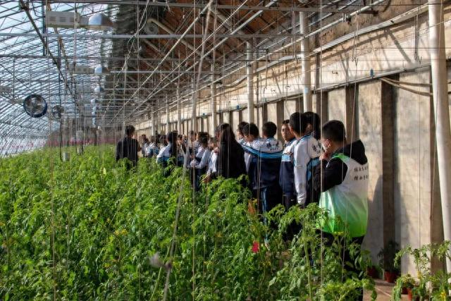 体验农业科技 探秘劳动智慧|西藏生走进沈阳农业大学开启绿色研学之旅