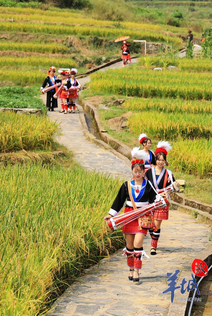 清远连南大麦山镇天梯垂挂瑶歌响彻