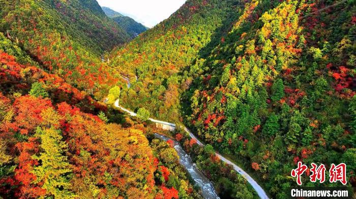 陕西秦岭换装季多彩美景引人醉