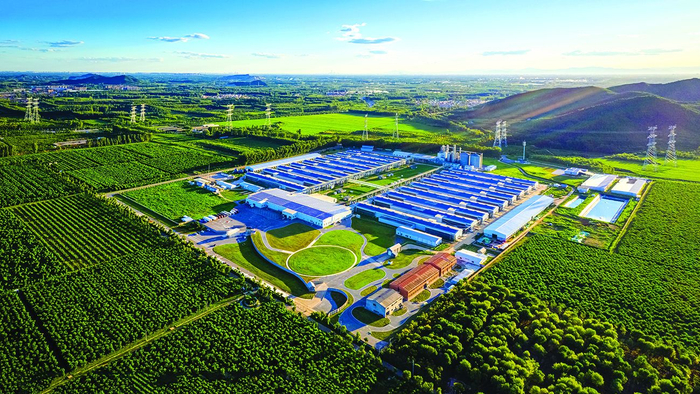 平谷区的现代化养殖基地。刘继平 摄