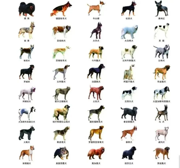 图源：青岛公安