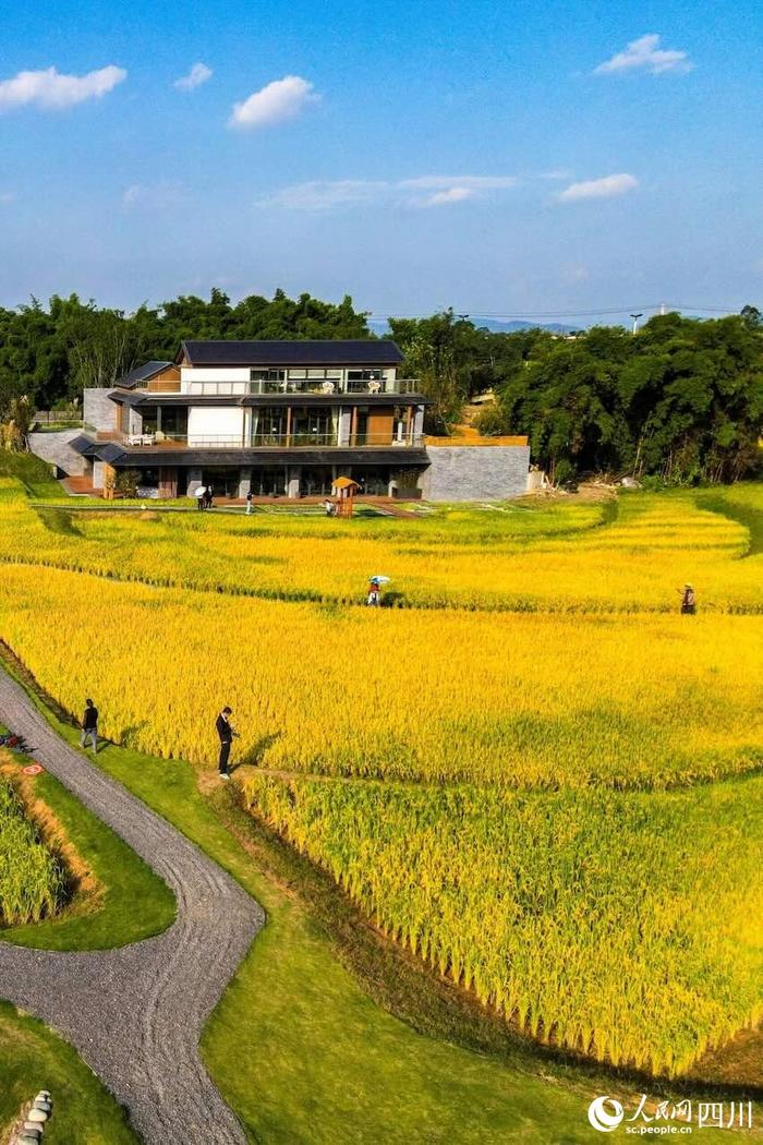 锦绣天府鸟瞰四川图片