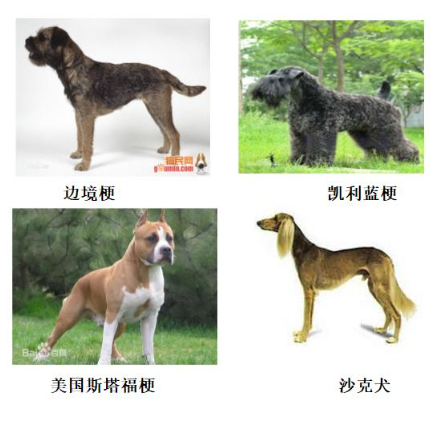 图源：济宁公安