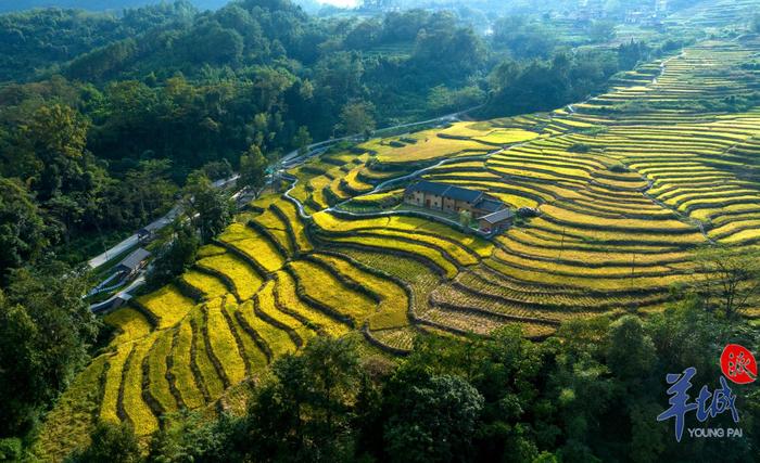 连南大麦山火龙冲案件图片