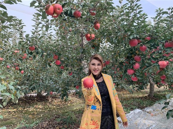 乌兰图雅新歌《阿克苏的红苹果》正式发布|阿克苏|阿克苏的红苹果