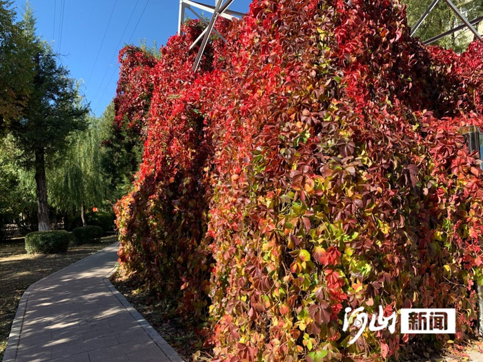 季园一景。白君 陈佳 摄