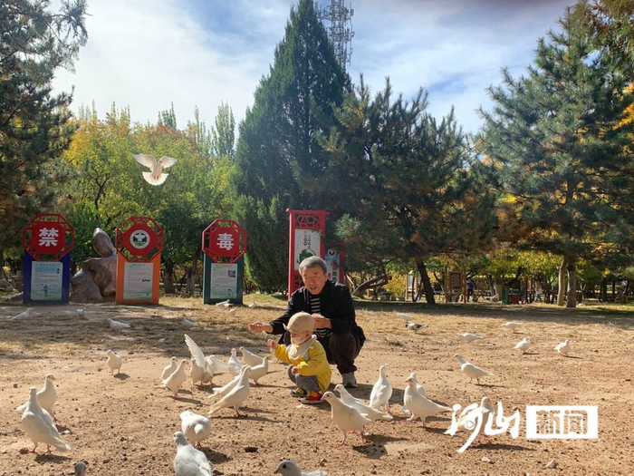 游客与白鸽嬉戏。白君 陈佳 摄