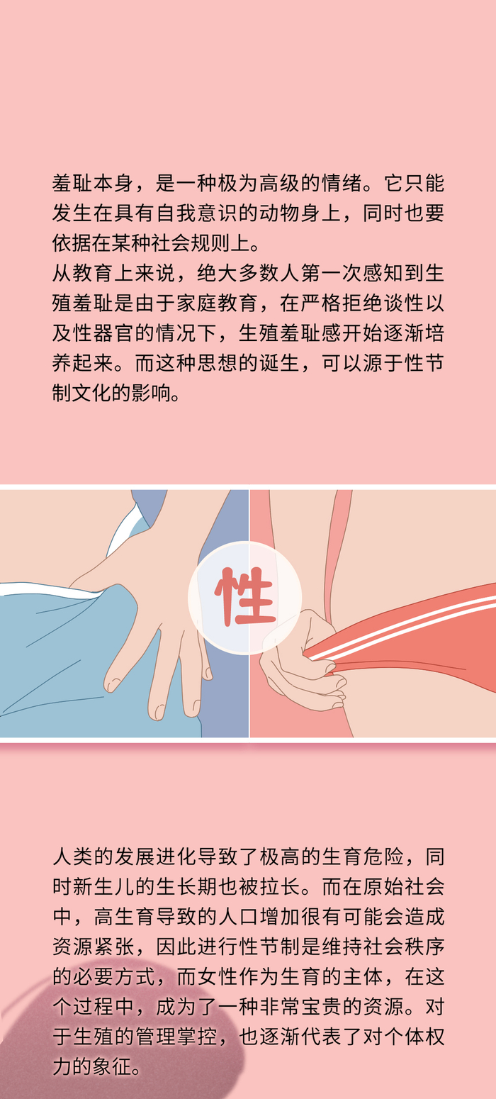 【写在最后】掐捏诱导行为抑制不仅适用于猫科动物,啮齿类动物,例如