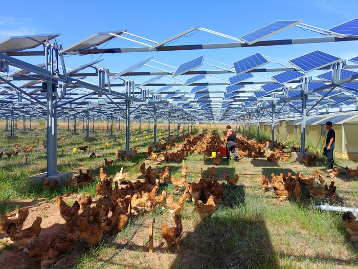 全国单体规模最大蒙西基地库布其200万千瓦光伏治沙项目具备全容量