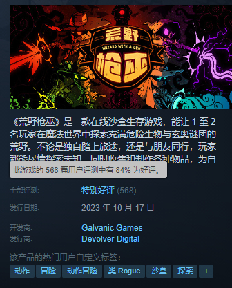 目前Steam好评率84%