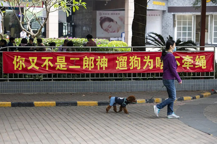 深圳某小区，宣传遛狗需牵绳的标语“你又不是二郎神，遛狗为啥不牵绳”。图源：视觉中国