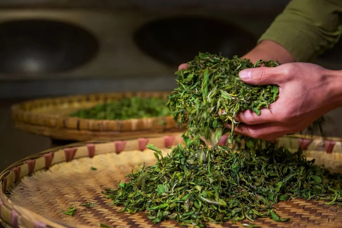 图据青城山都江堰