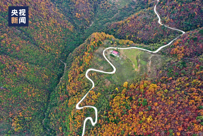 △徽县嘉陵江两岸层林尽染，群山叠彩。