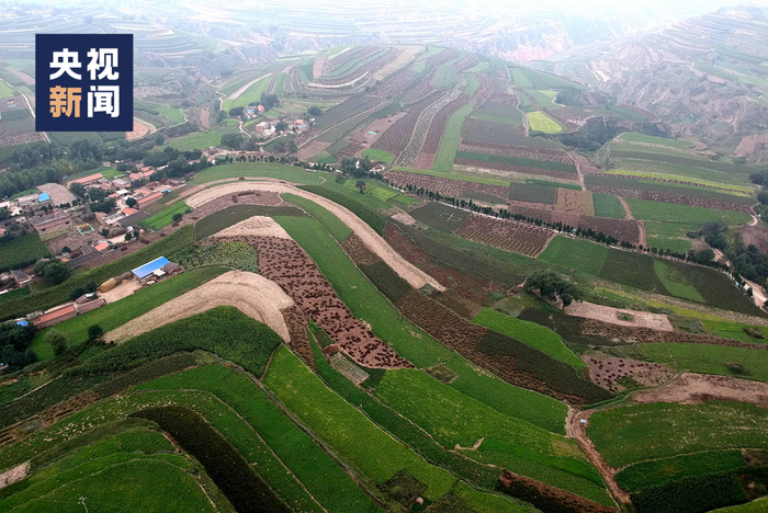 △陇西县柯寨镇中药材绿色标准化种植基地