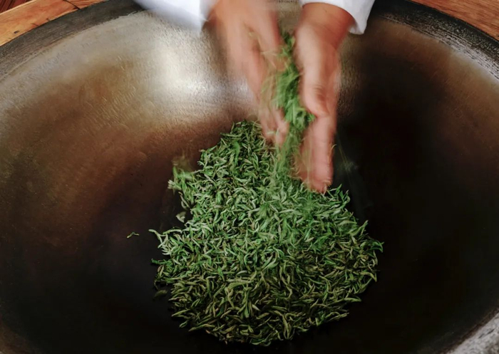 手工制茶人正在炒茶 