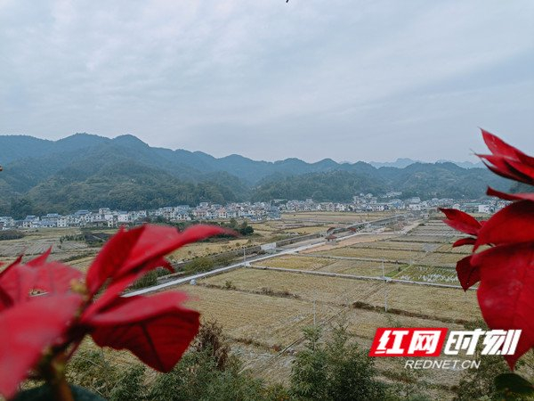"湘"当自觉自信自强丨保靖甘溪村:村民自治注活力 乡村振兴显生机