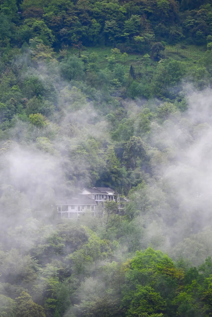 云雾缭绕的青城山