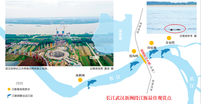 制图：马超