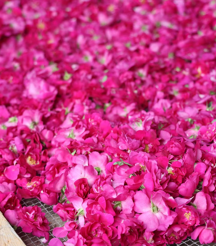 △种植苦水玫瑰的土壤主要成分是红土，弱碱富硒，地下水味儿咸，当地方言中称“咸”为“苦”，由此得名苦水玫瑰。