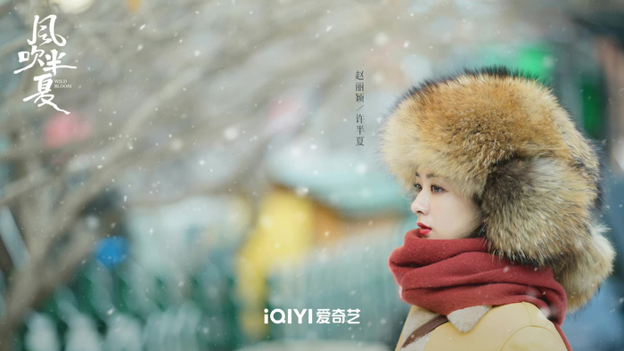 《风吹半夏》剧照