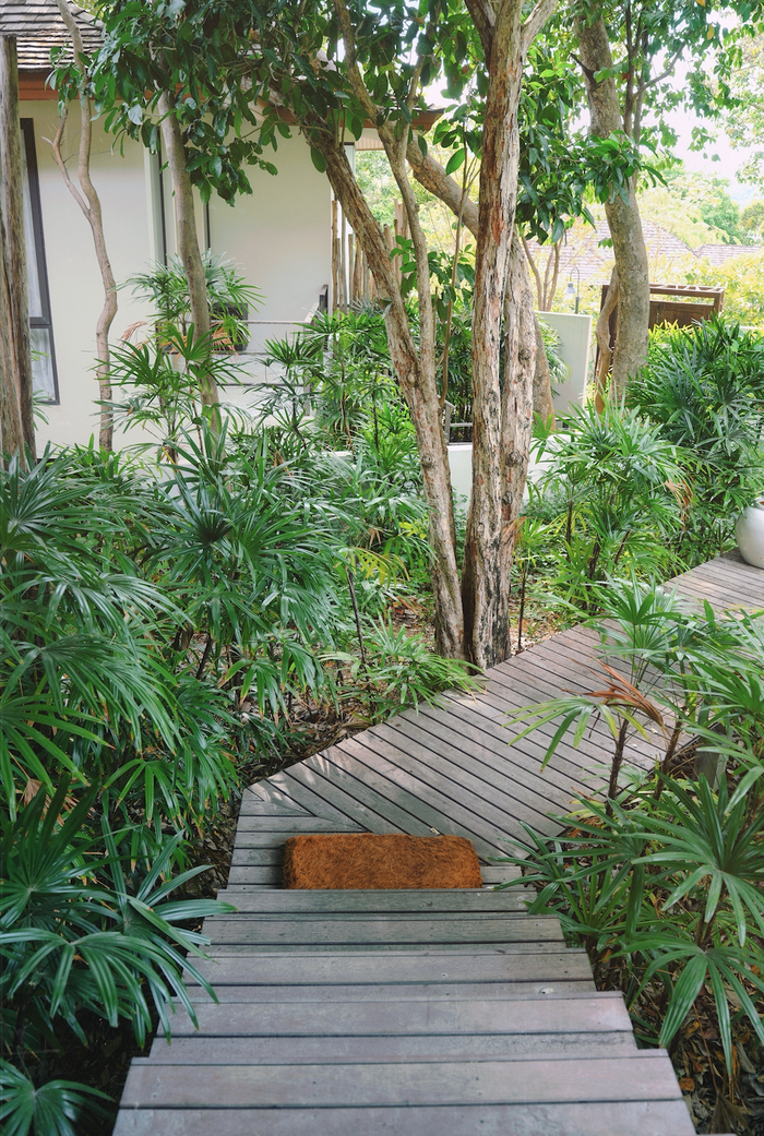 度假村被郁郁葱葱的热带植物包围,而这座私人岛屿,恰恰能给我们想要的