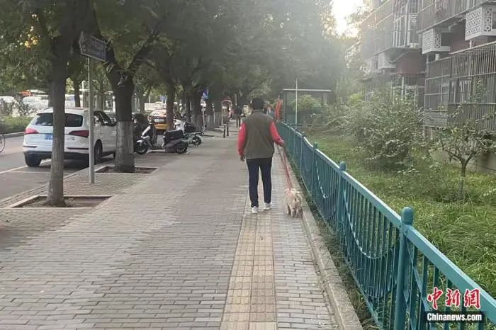 资料图：市民拴绳遛狗。中新财经 葛成 摄