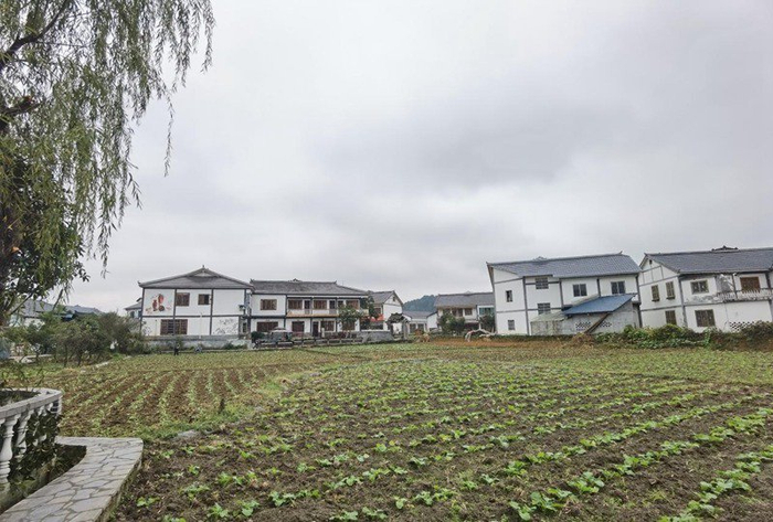 高质量发展调研行花茂村里的手艺人