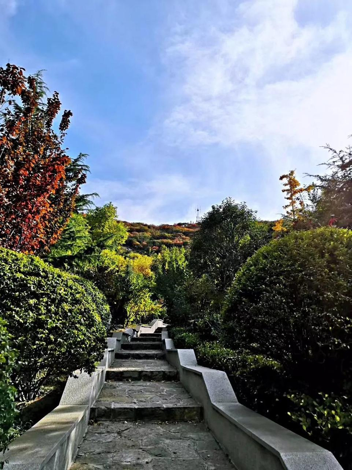 每一块石头从山脚拾阶而上,踩着石径渐入密林海拔约162米,腊山上下皆