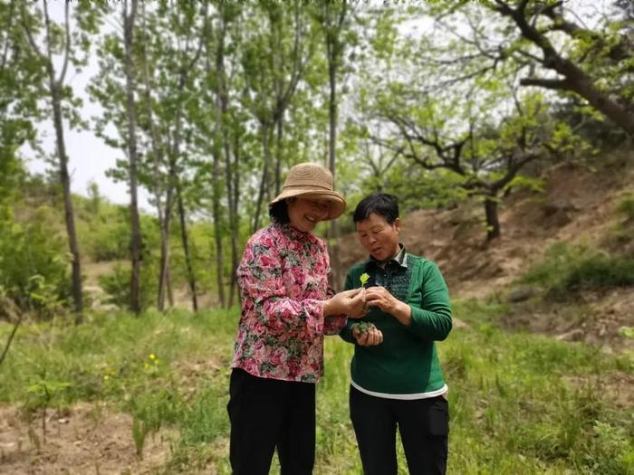 致富农村句子_农村致富经_致富农村致富网致富门路