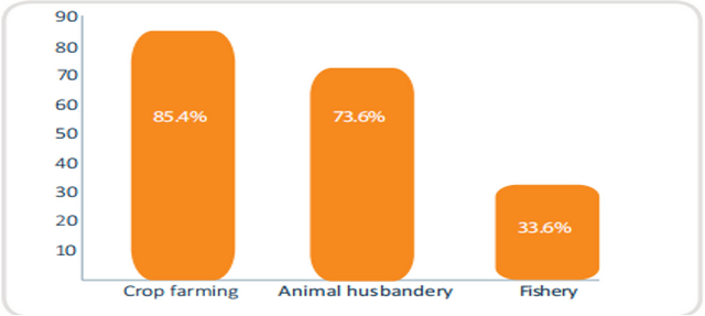 从事农业活动的农户按农业活动类型的百分比分布，资料来源：塞拉利昂统计局（2015）