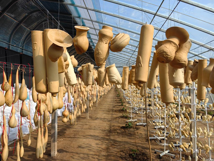 　　各式范制葫芦。新华社记者张力元 摄