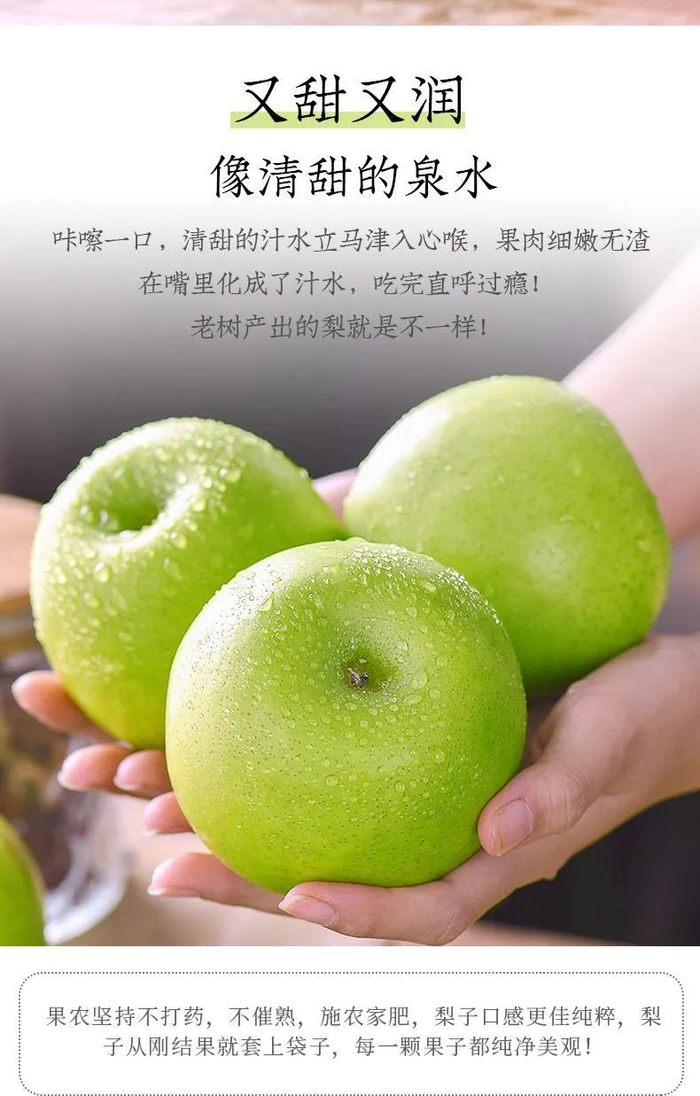 安徽砀山翠冠梨,5斤整箱包邮只要32.9元~~~|安徽省|箱包_新浪新闻